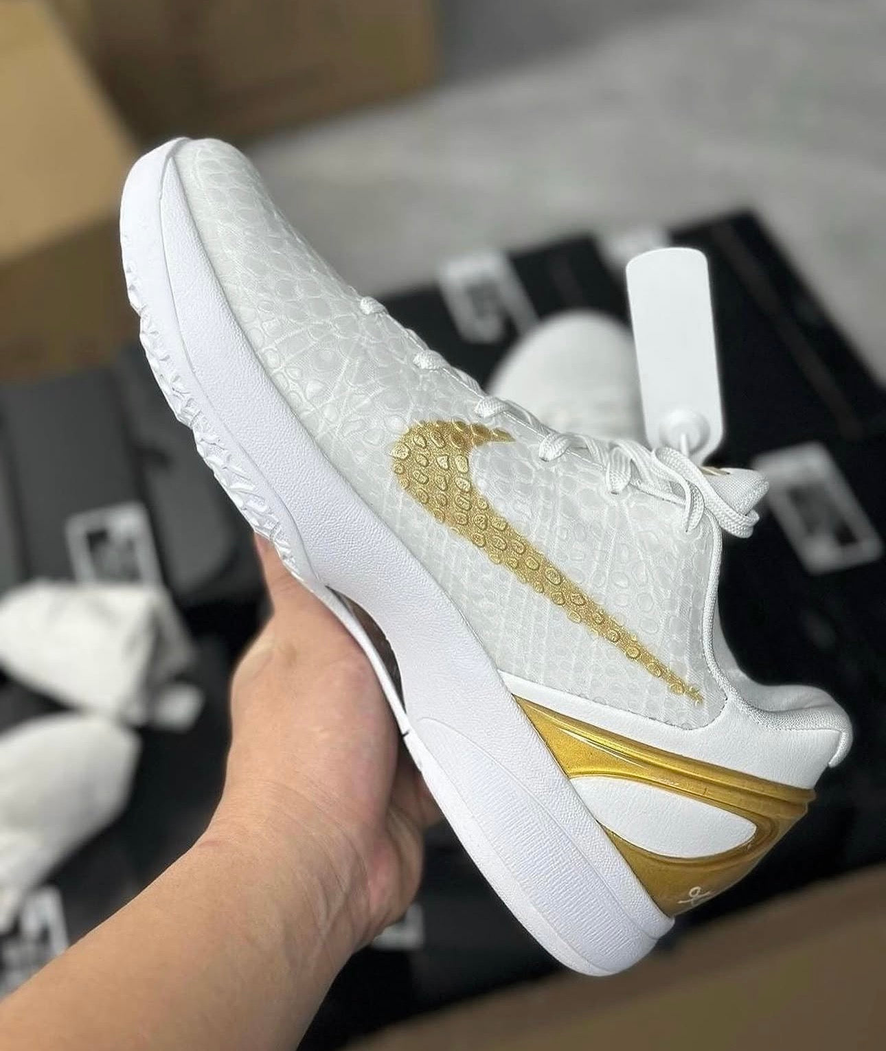 Nike Kobe 6 Protro