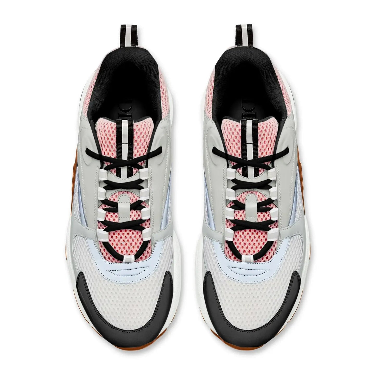 Dior B22