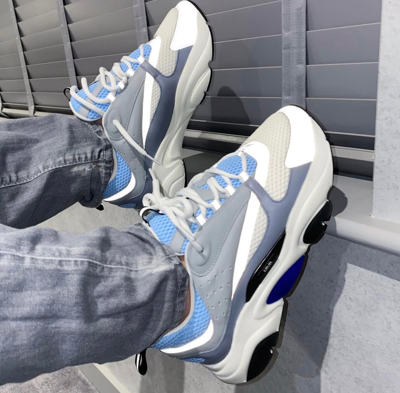 Dior B22