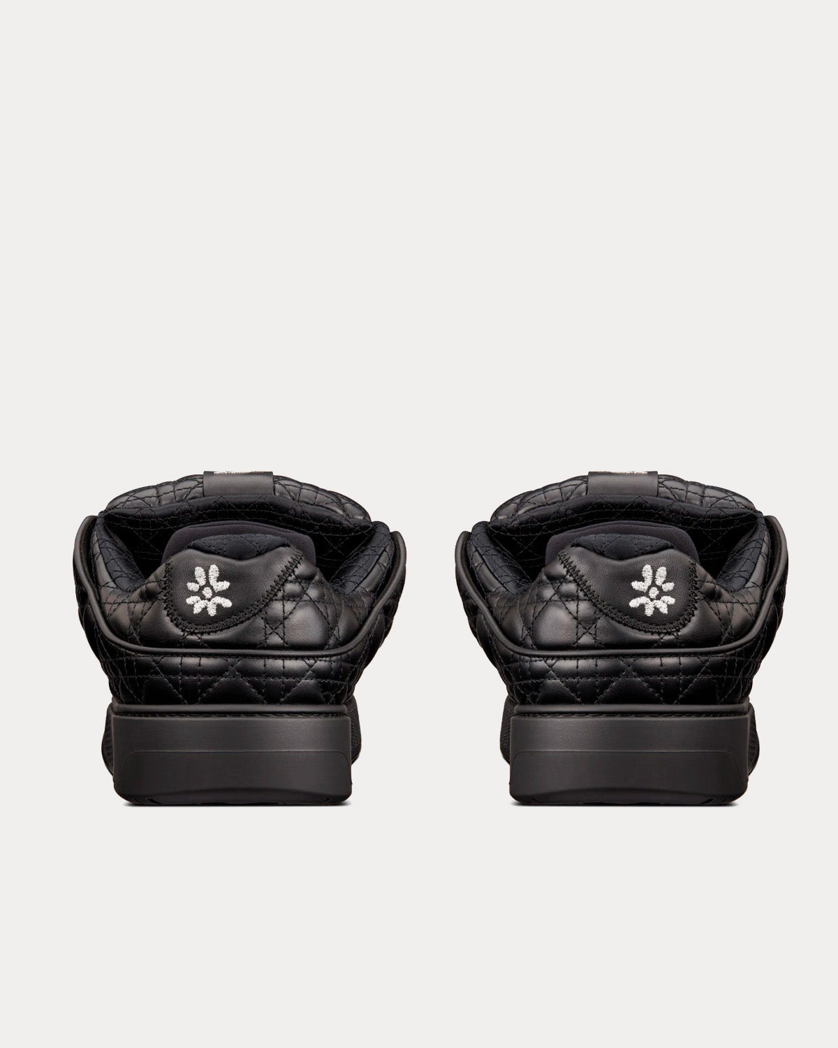 Dior B9S Skater