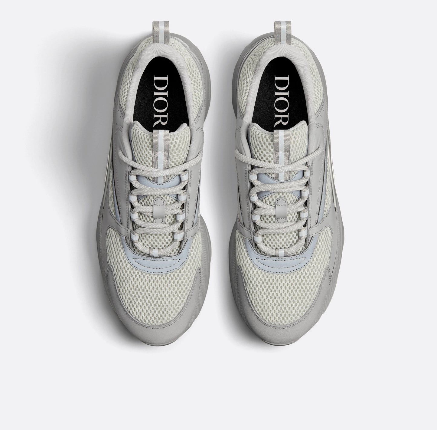 Dior B22