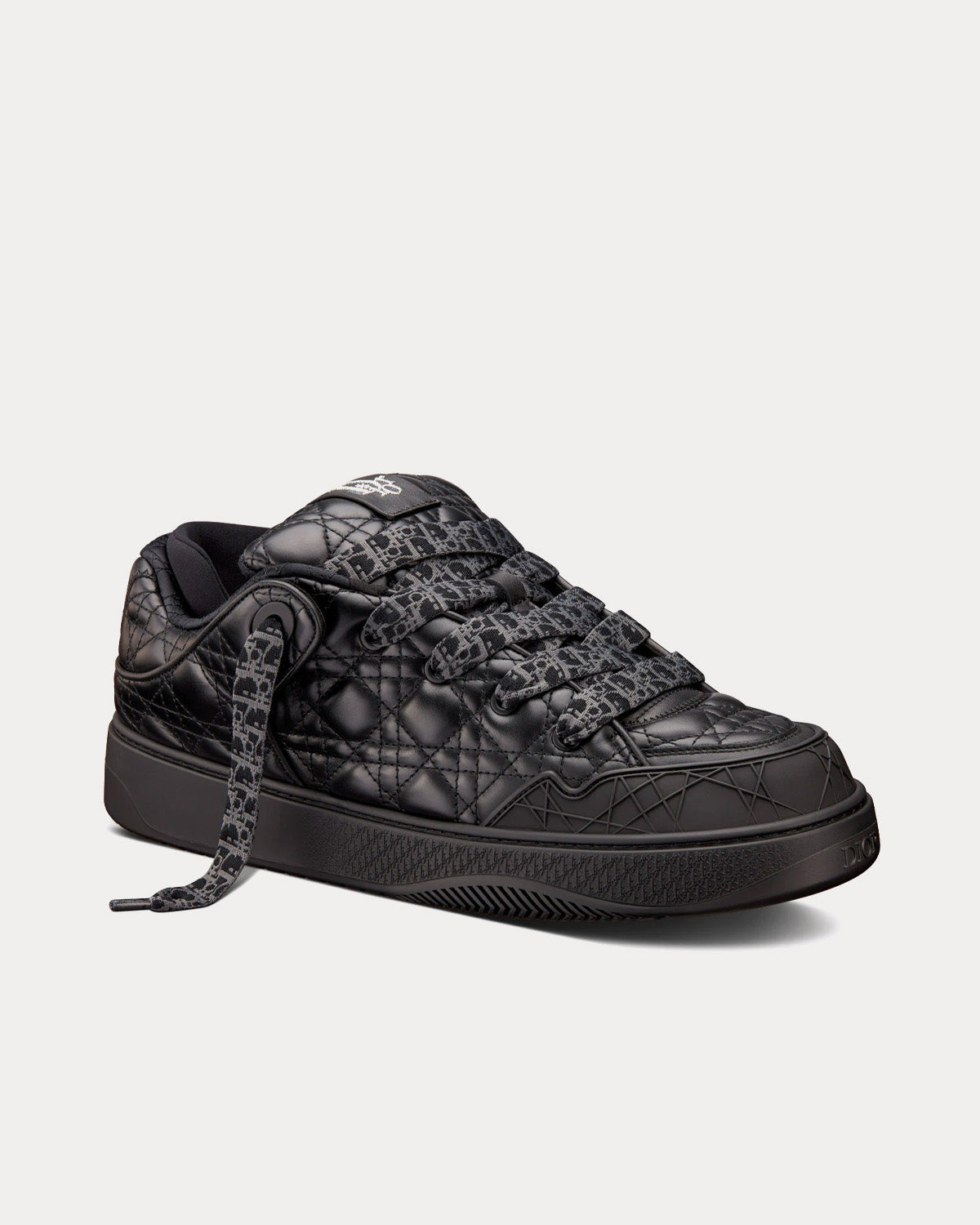 Dior B9S Skater