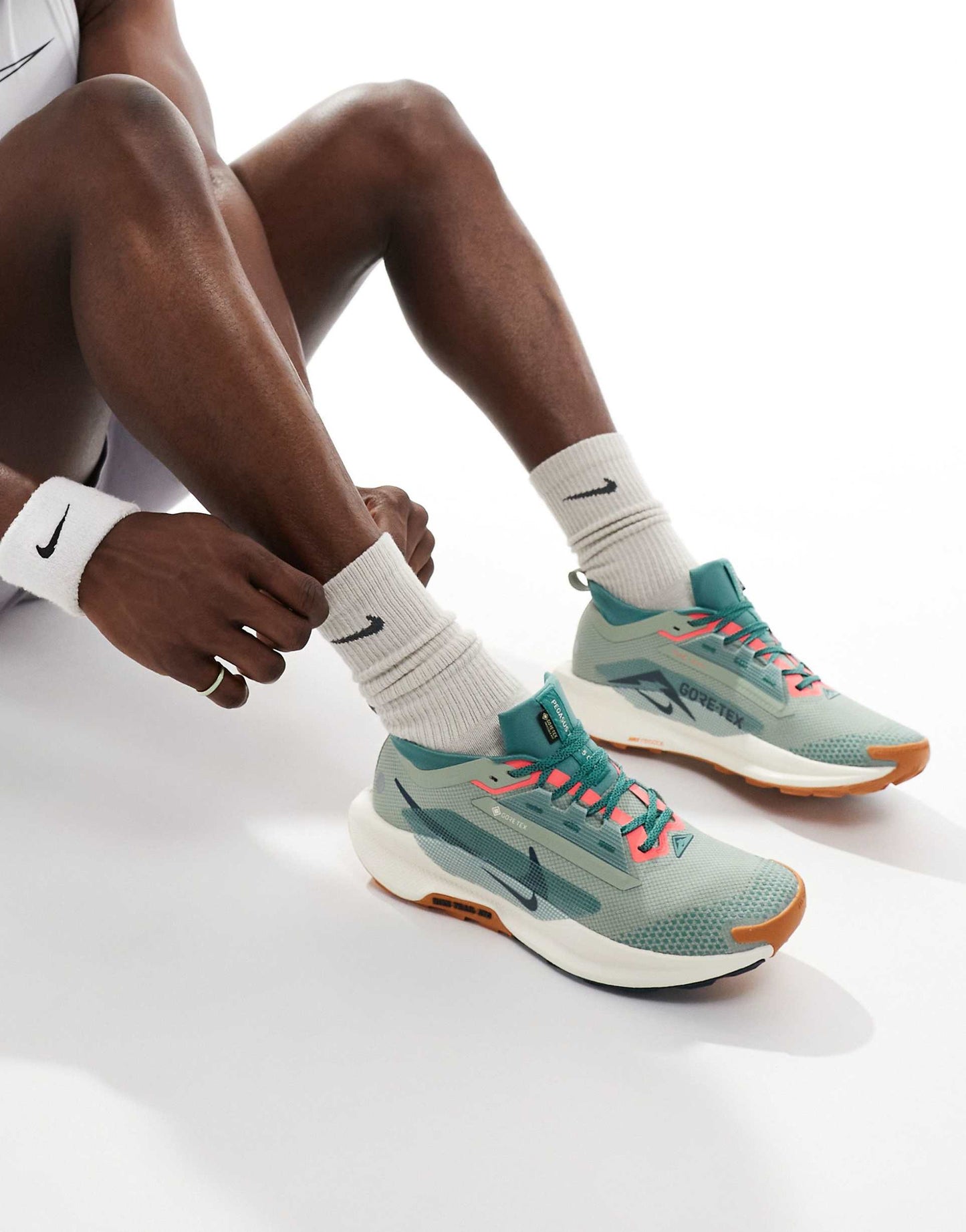 Nike Pegasus Trail 5 GORE-TEX