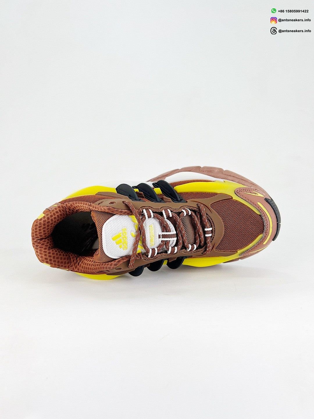 Pharrell Williams x Adidas Adistar Jellyfish