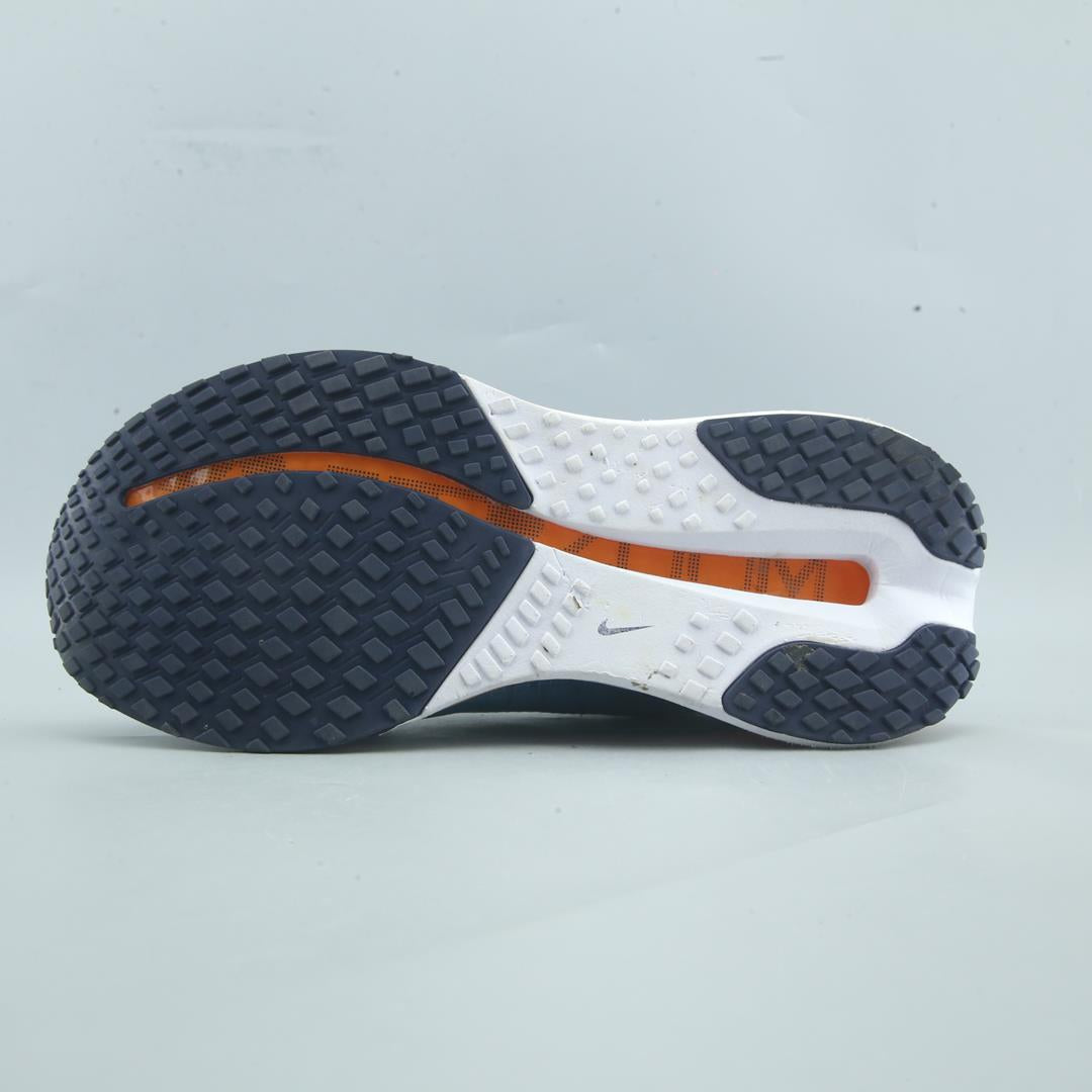 Nike Pegasus Premium