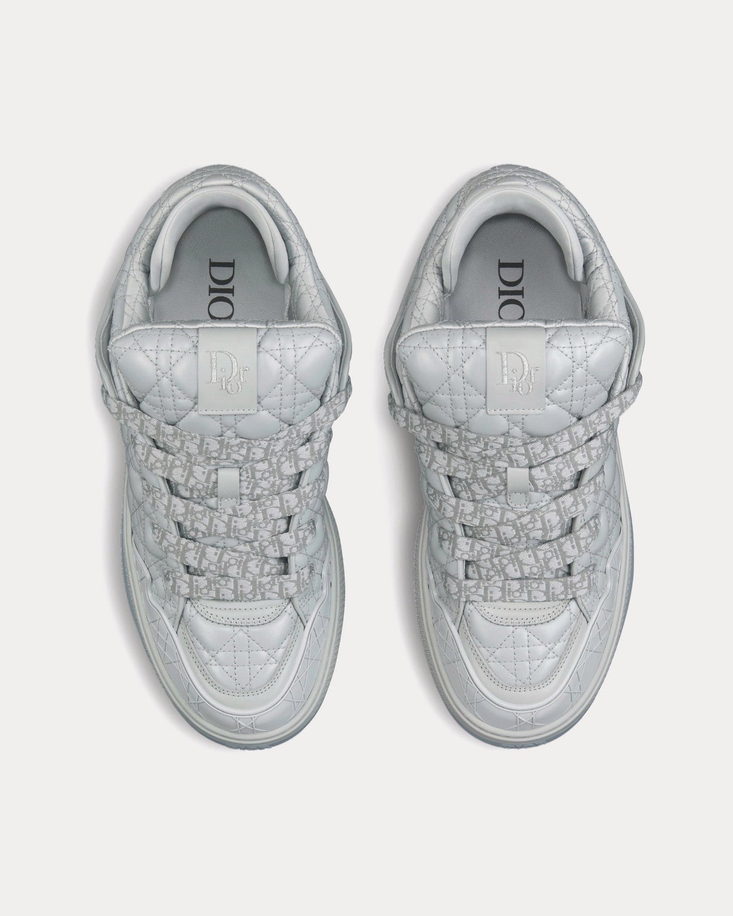 Dior B9S Skater