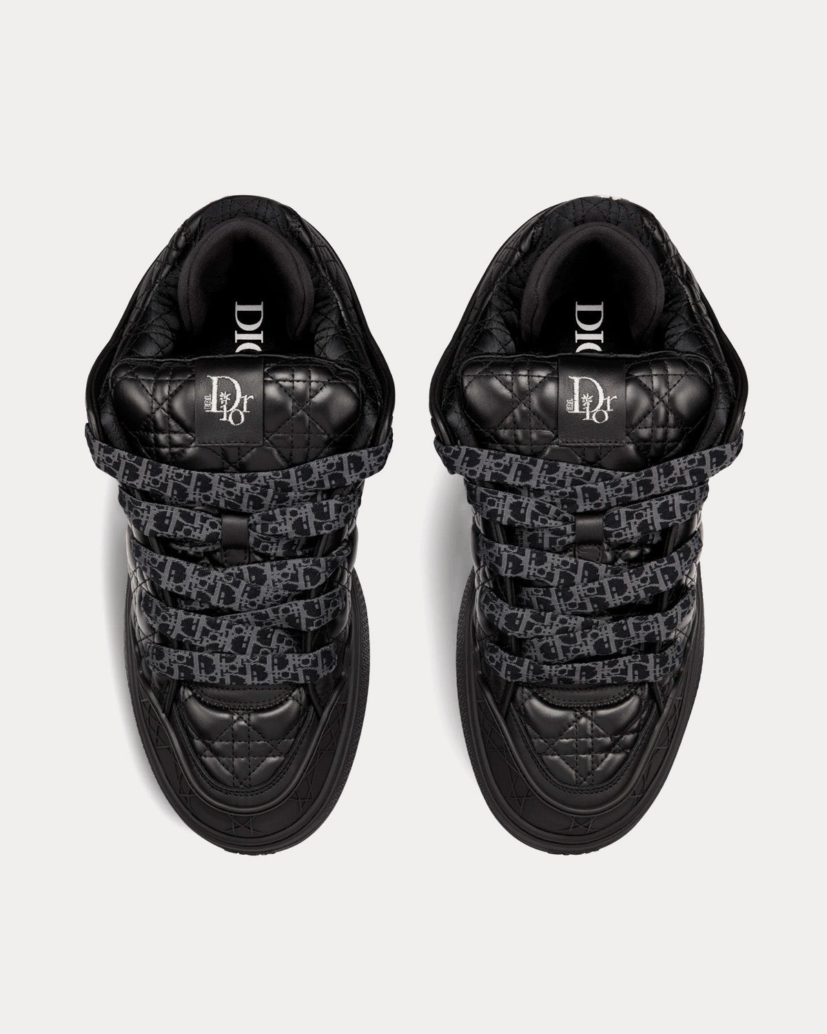 Dior B9S Skater