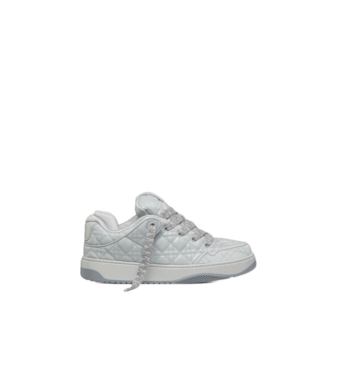 Dior B9S Skater