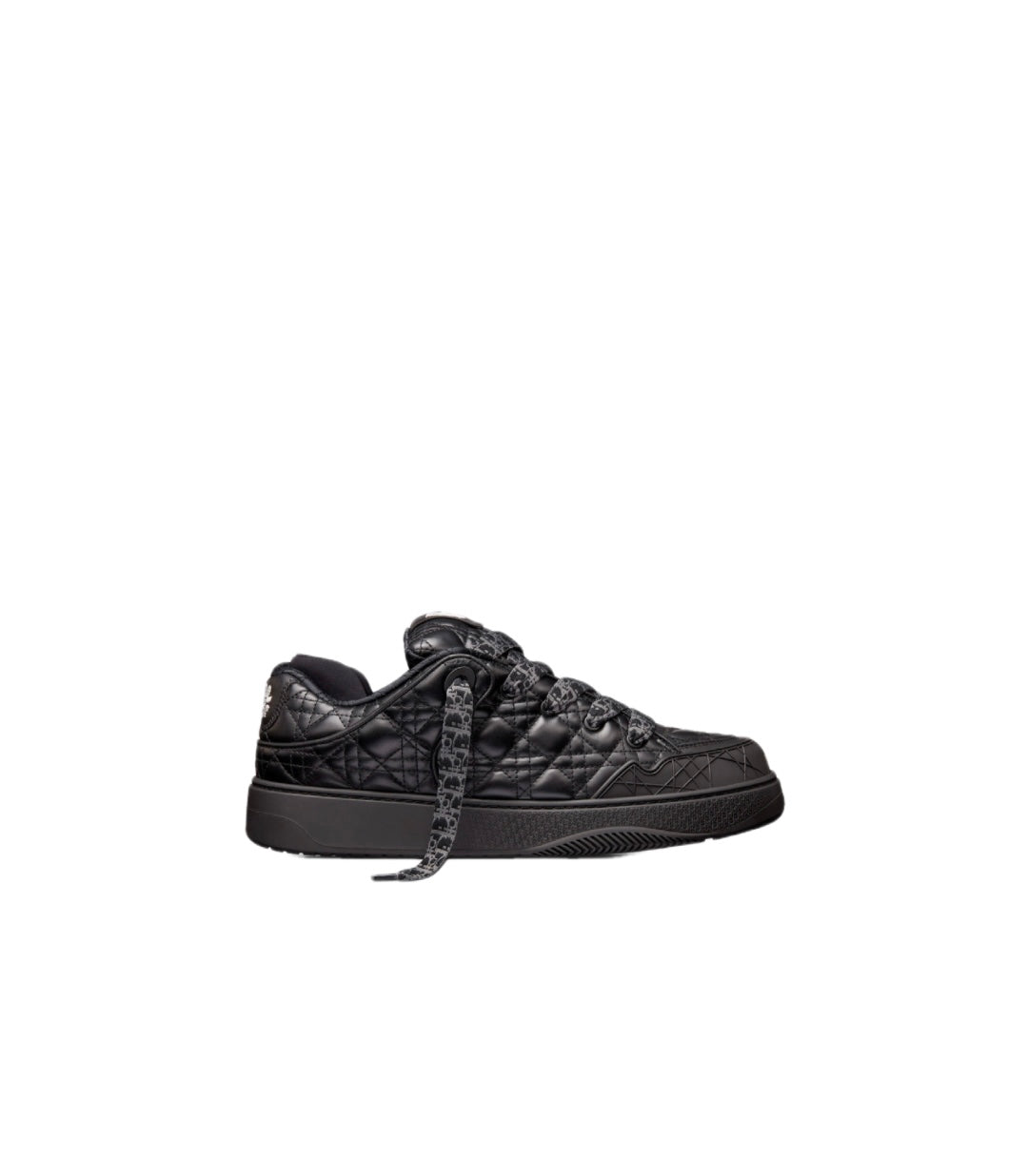 Dior B9S Skater