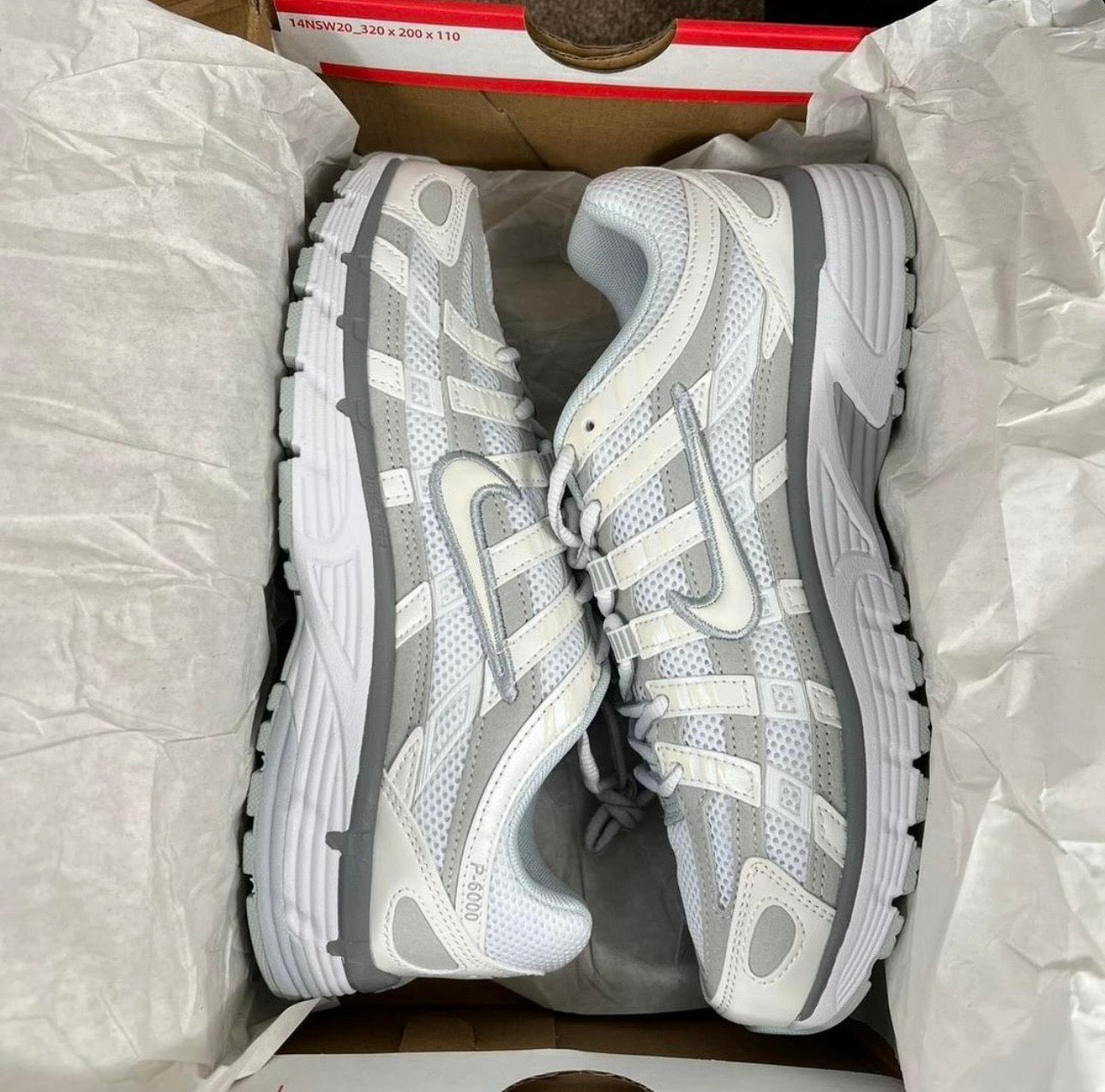 Nike P-6000