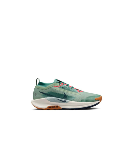 Nike Pegasus Trail 5 GORE-TEX